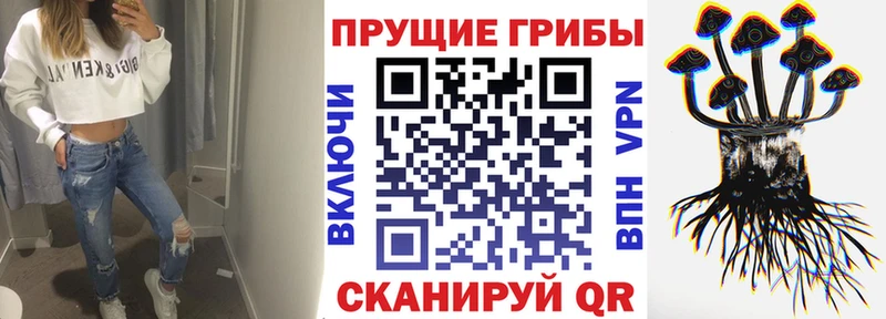 Псилоцибиновые грибы прущие грибы Починок